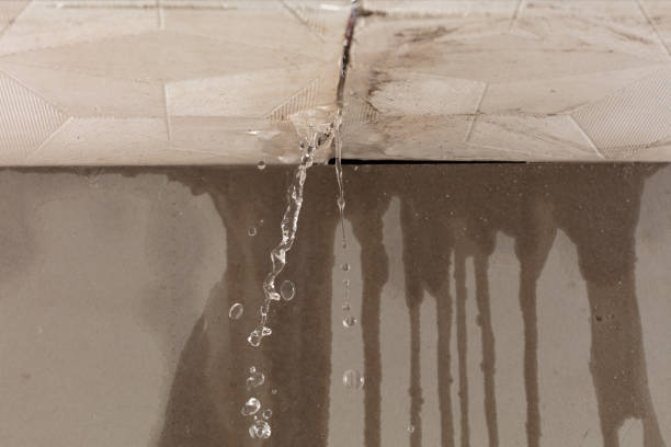 Professional Structural Drying technician working in Fort Worth, TX